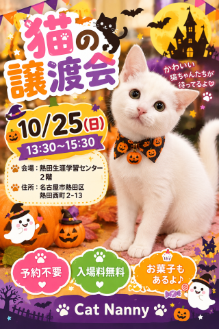 猫の譲渡会in名古屋