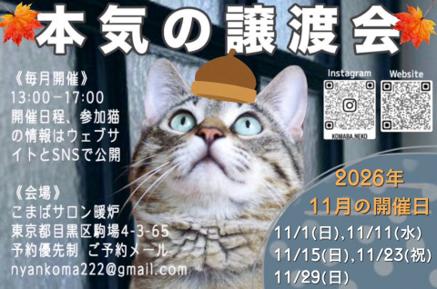 本気の譲渡会