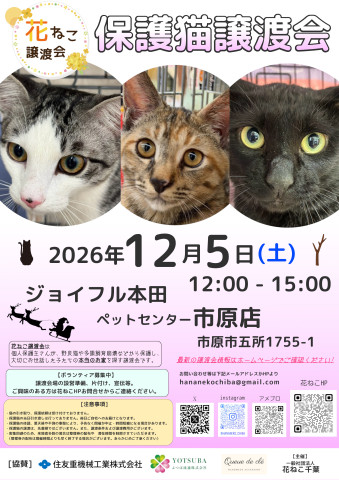 花ねこ譲渡会