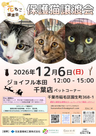 花ねこ譲渡会