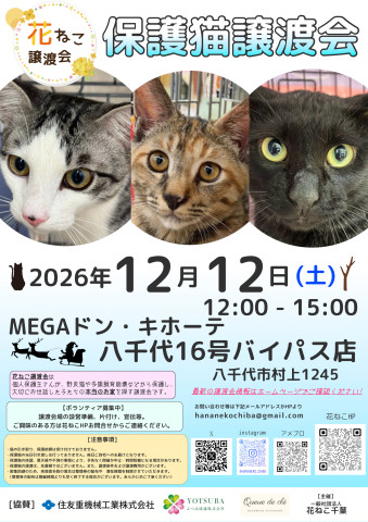 花ねこ譲渡会