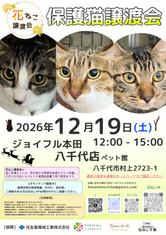 花ねこ譲渡会