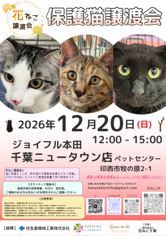花ねこ譲渡会