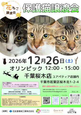 花ねこ譲渡会