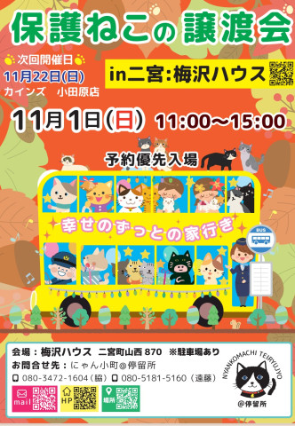 保護猫譲渡会in二宮町：梅沢ハウス