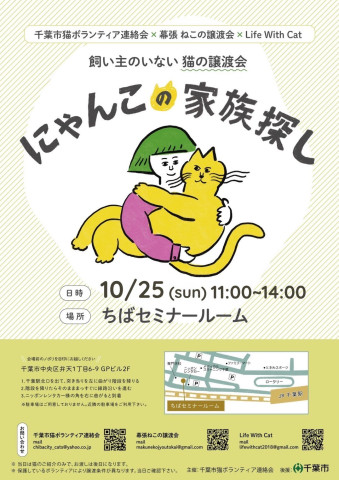 にゃんこの家族探し
