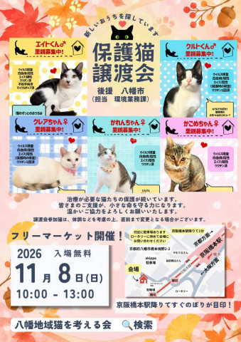 京都府八幡市🐾保護猫譲渡会