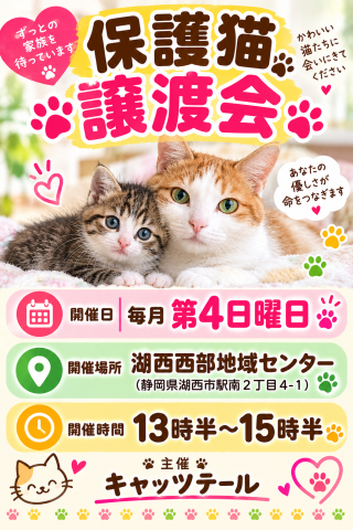 保護猫譲渡会　湖西市