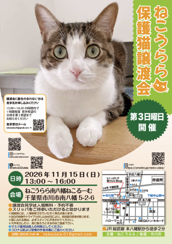 ねこうらら 保護猫譲渡会