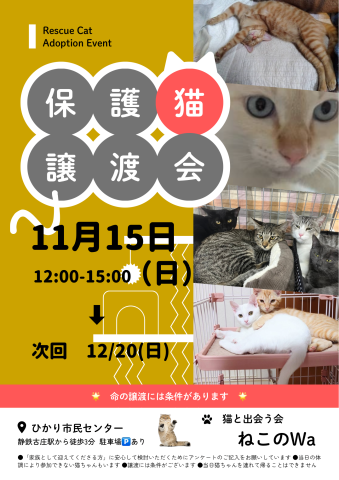 ねこのWa譲渡会　静岡市葵区