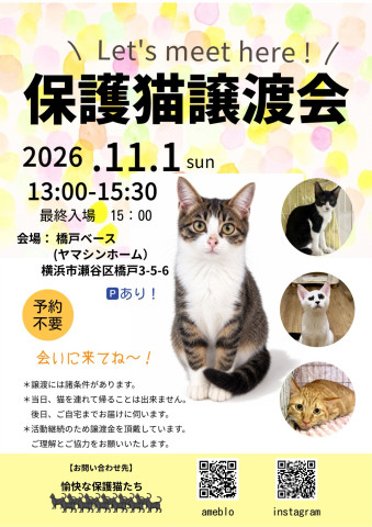 よこはま瀬谷・保護猫譲渡会