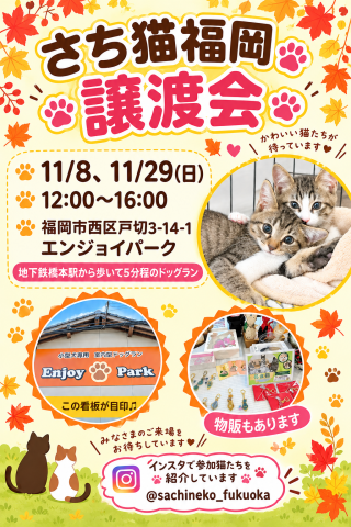さち猫福岡譲渡会　エンジョイパーク（はっぴいすまいる）