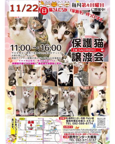 さち猫福岡譲渡会　読売センター花畑・やよい坂