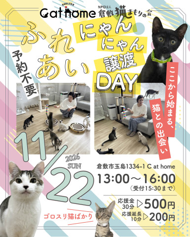 保護猫ふれあい譲渡DAY