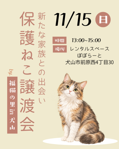 保護ねこ譲渡会　in 犬山