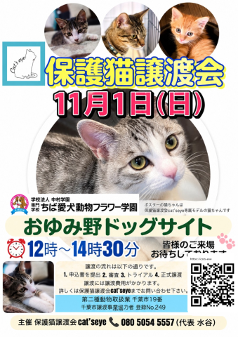 保護猫譲渡会Cat'seye