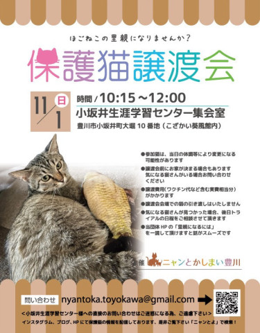 保護猫譲渡会　愛知県豊川市にゃんとかしまい豊川