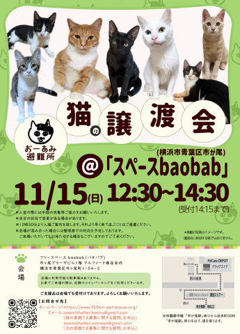 おーあみ避難所譲渡会in市ヶ尾