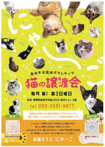 にゃーご譲渡会