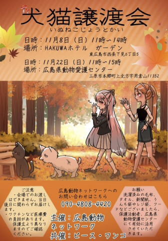 犬猫譲渡会