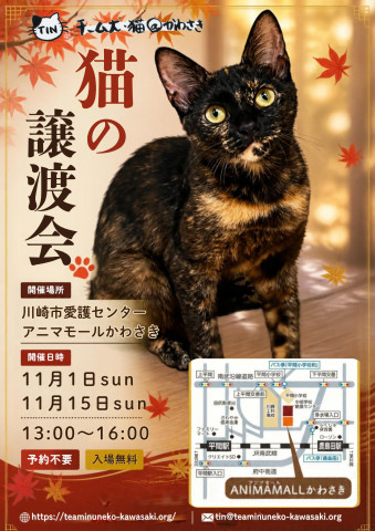 アニマモール譲渡会★チーム犬・猫＠かわさき