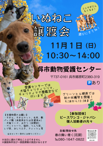 いぬねこ譲渡会
