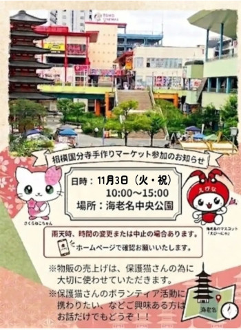 保護ねこ譲渡会@海老名マルシェ