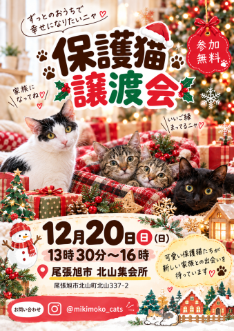 保護猫譲渡会
