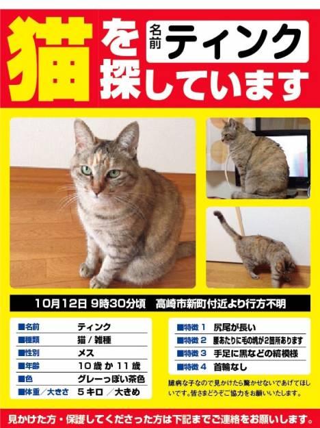 猫 里親 保護猫 迷子猫 迷子猫 皆様の知恵をお貸しください ネコジルシ