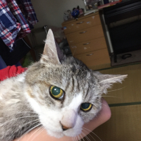 まる