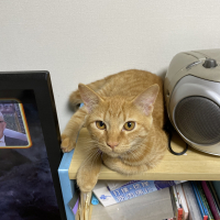 ウリ