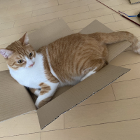 ラヴ