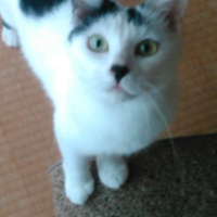 ビュー