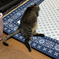 チビ太