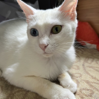 来実（くるみ）