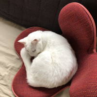 アビィ