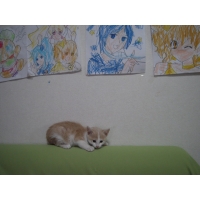 ケンシロウ