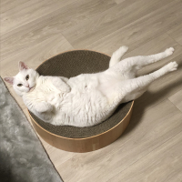 ヒソカ