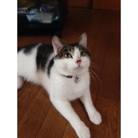 ムッタ