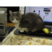 そら
