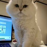 おもち