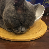 ブルース