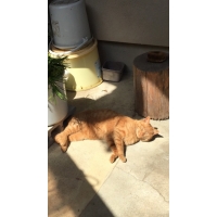 たぁー