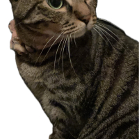 かぼす