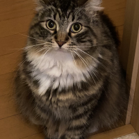 そら