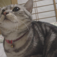 リク
