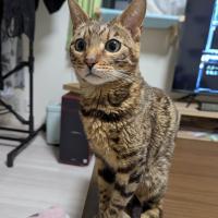 テオ