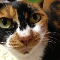 イチゴ🌈🪽🫧