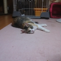 メイちゃん