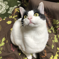 みぃ